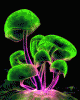 anim176220mobildesign.atw.hu_0466.gif